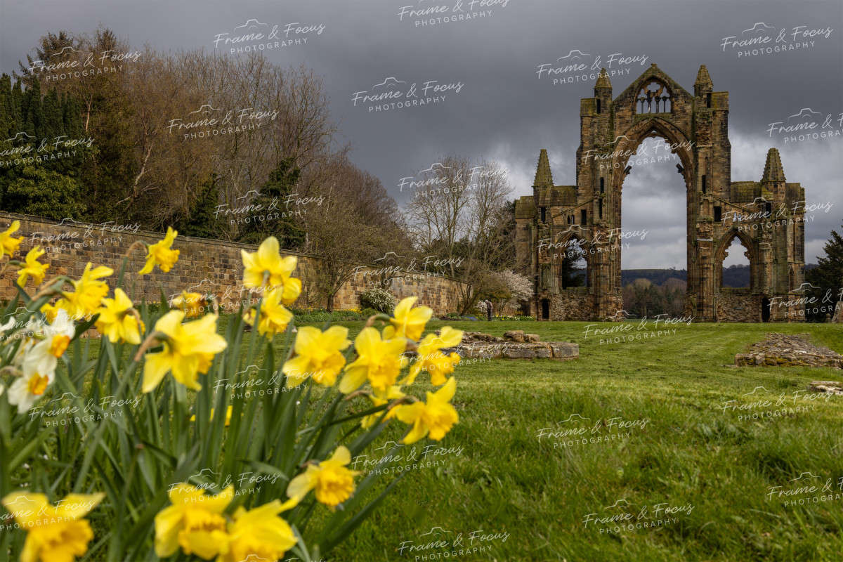 To buy a print or any of the below please click on the images